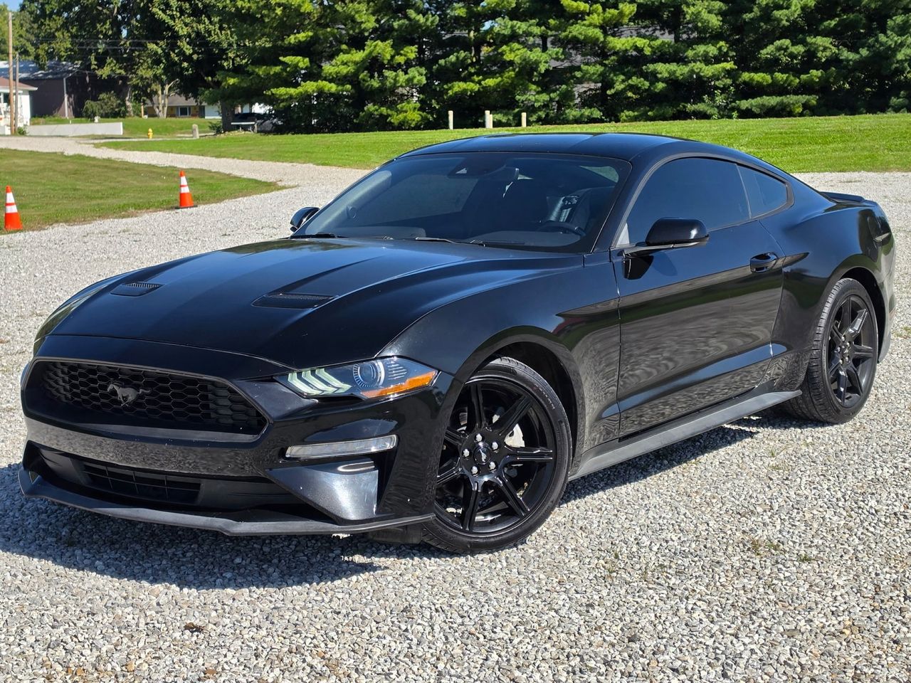 2019 Ford Mustang