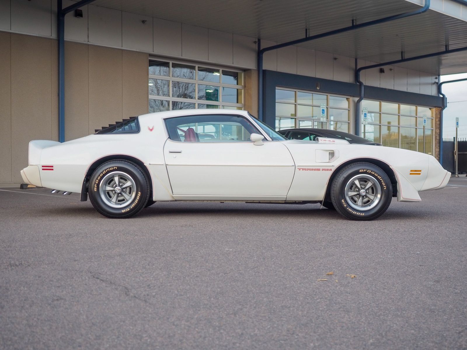 1981 Pontiac Firebird 11