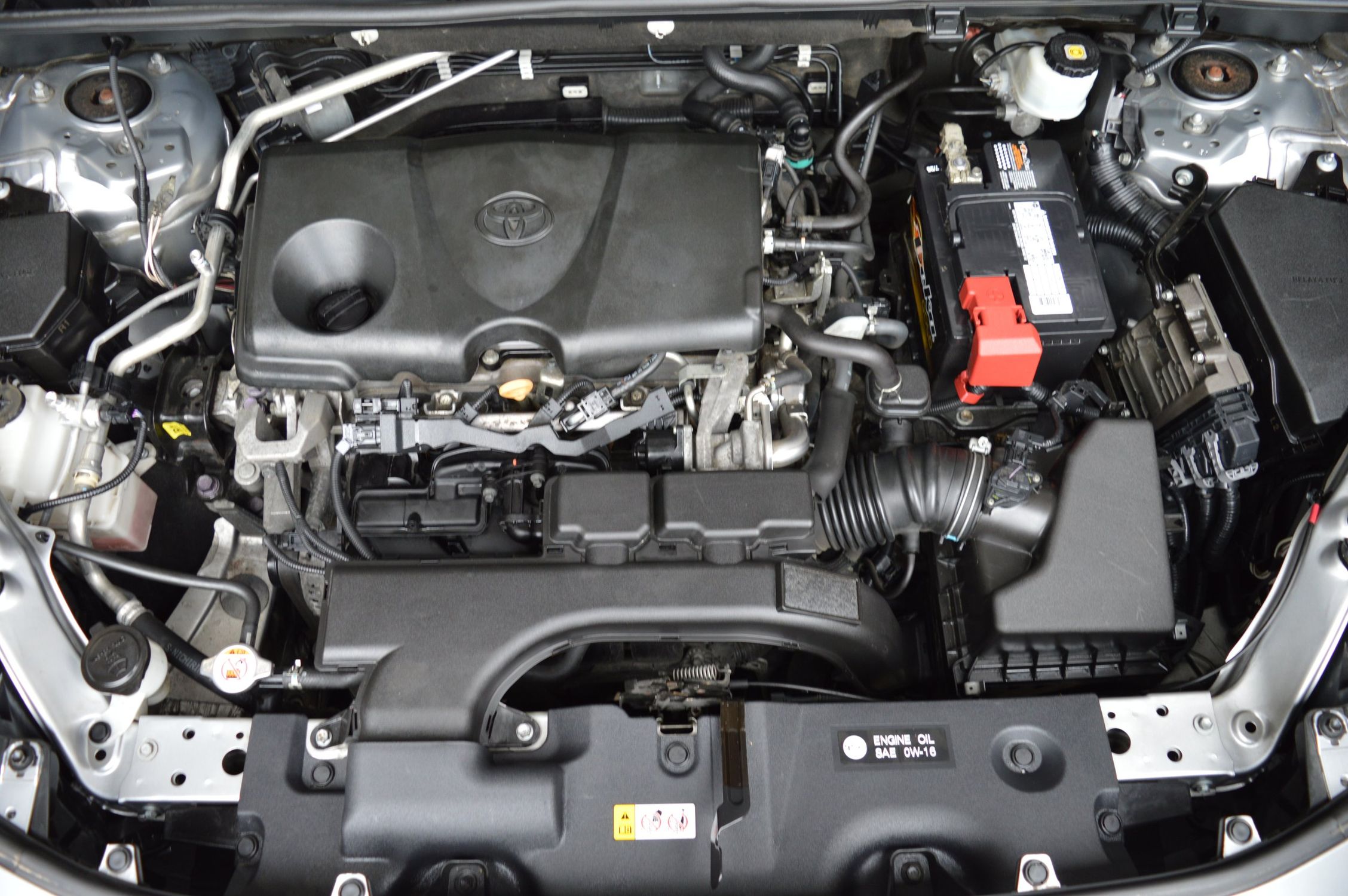 2019 Toyota RAV4 XLE Premium photo 2
