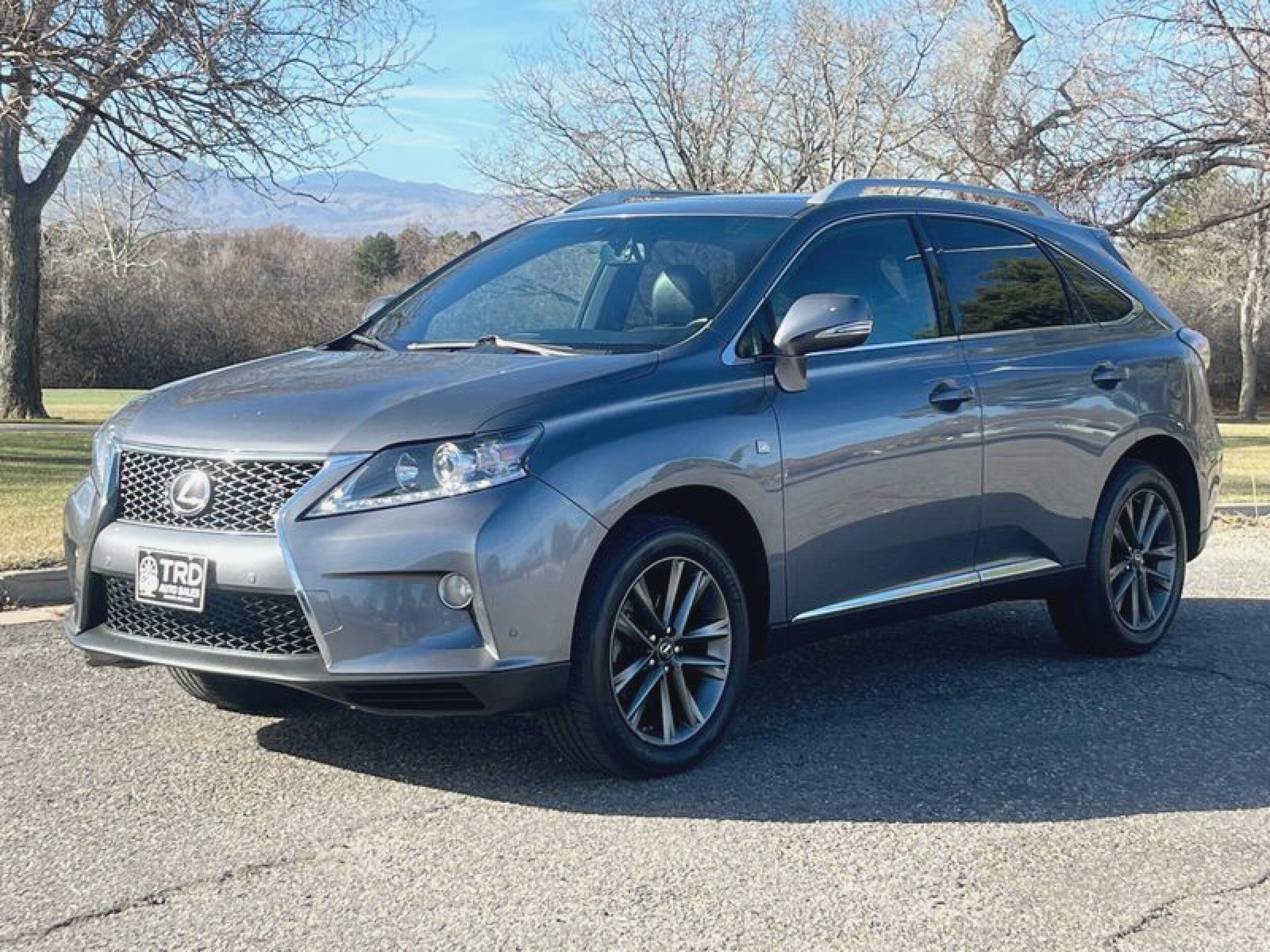 2014 Lexus RX 350's photo