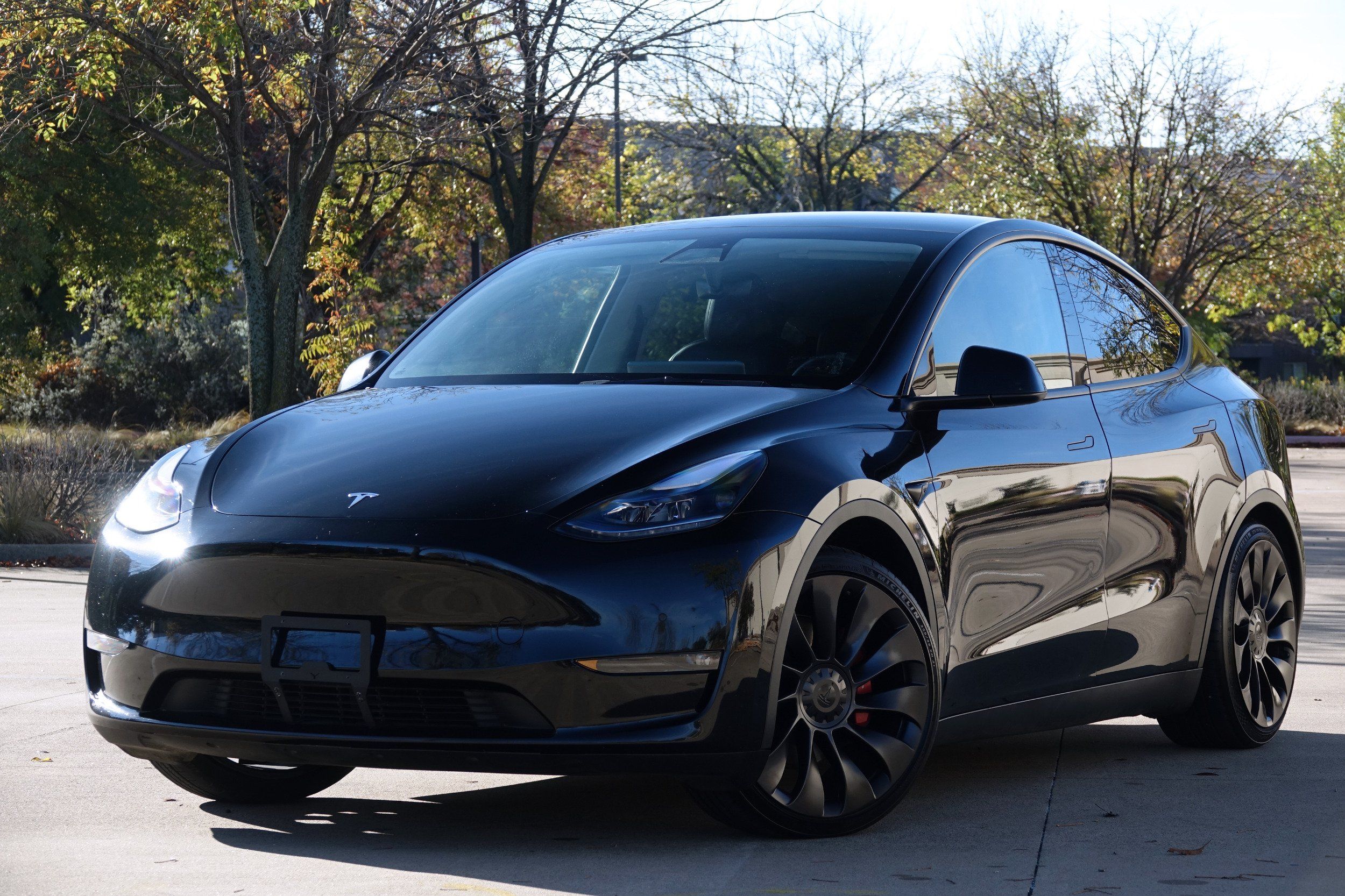 2022 Tesla Model Y Performance photo 2