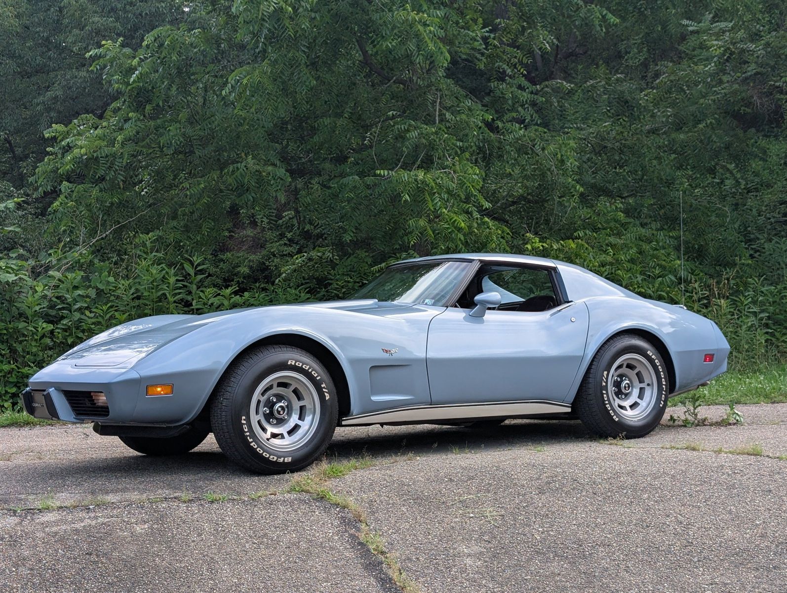 1977 Chevrolet Corvette 110