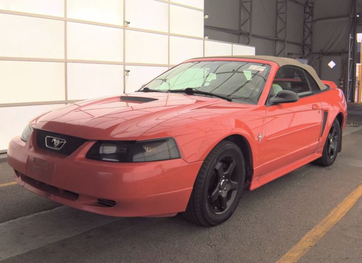 2001 Ford Mustang's photo