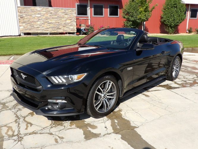 Adam's Memorial Day Sale! New Apple Scented Detail Spray, 15% Off & New  32oz Bottles!  2015+ S550 Mustang Forum (GT, EcoBoost, GT350, GT500,  Bullitt, Mach 1) 