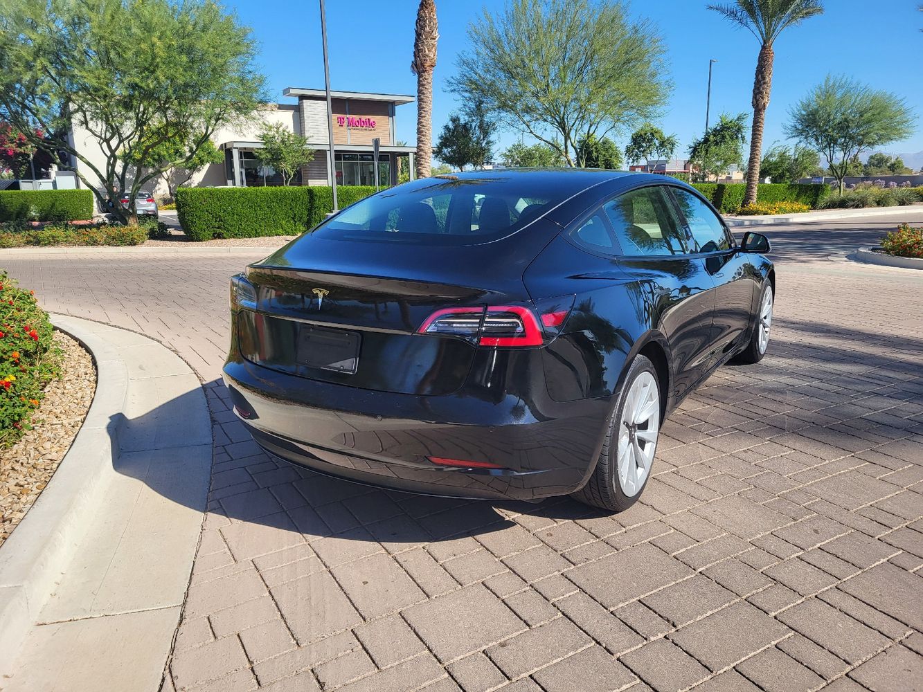 2022 Tesla Model 3 Rear-Wheel Drive photo 3