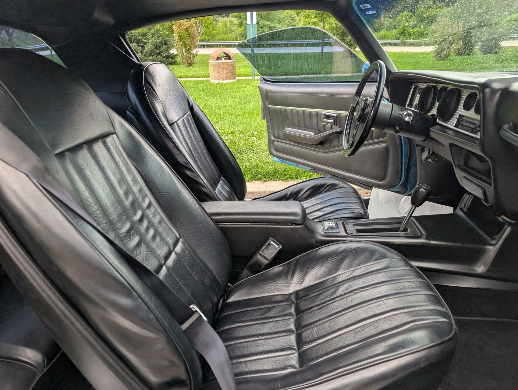 1980 Pontiac Firebird 116