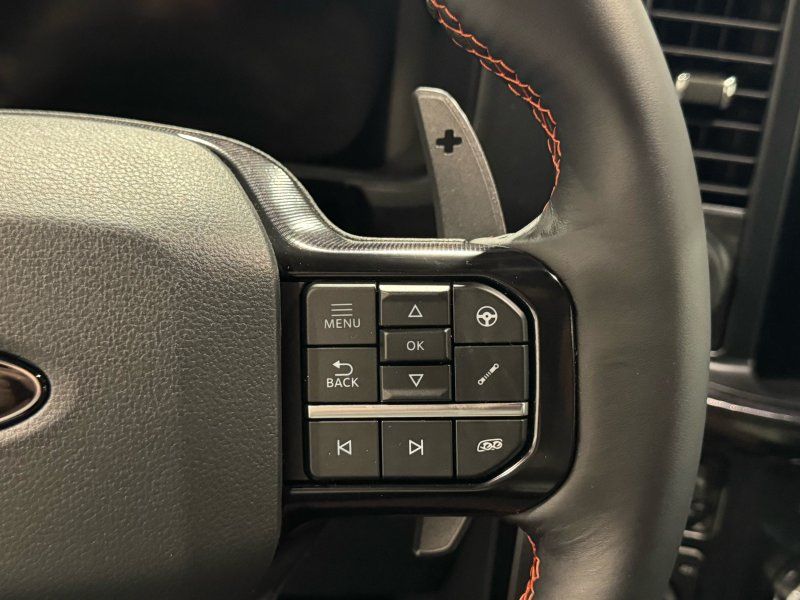 2025 Ford F-150 Raptor, photo 33