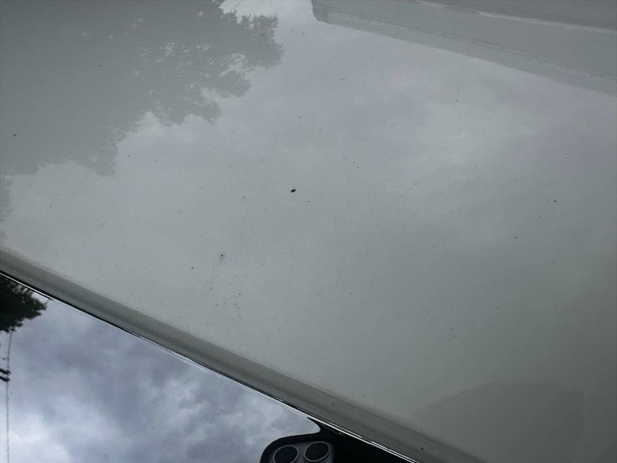 2019 International DuraStar 4300 73