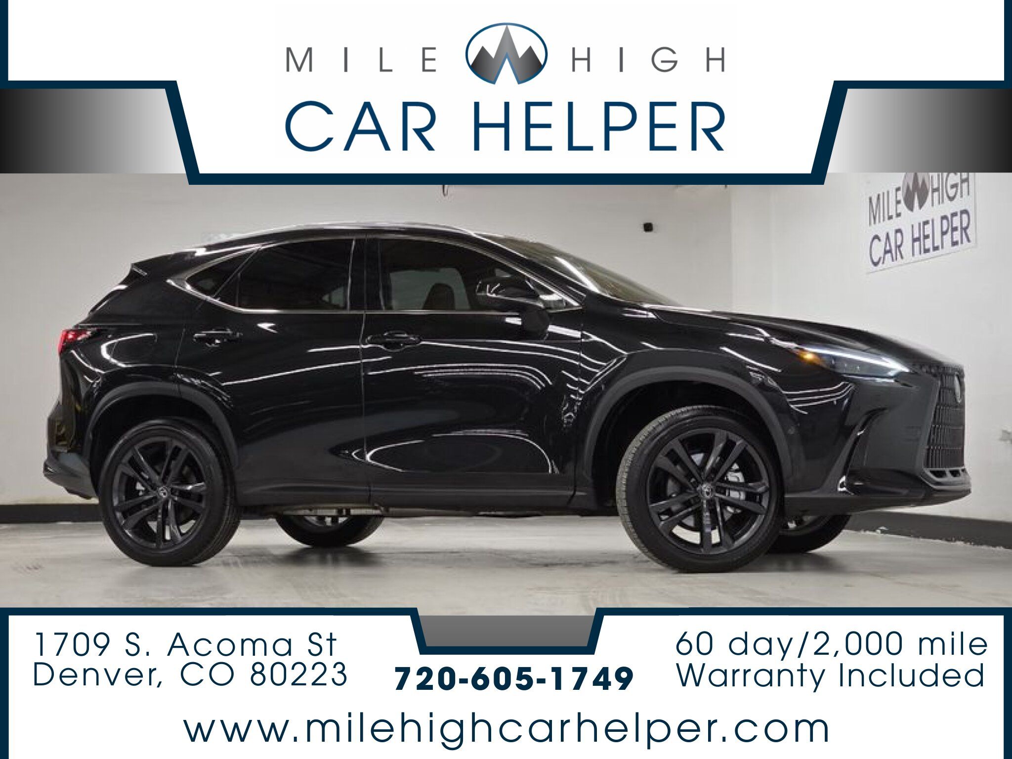 2025 Lexus NX Luxury's photo