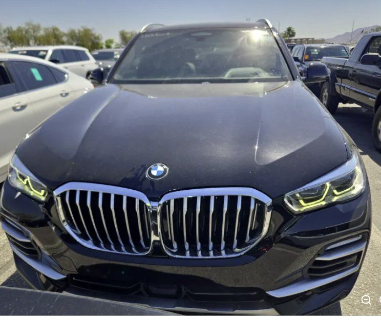 2019 BMW X5 xDrive50i's photo
