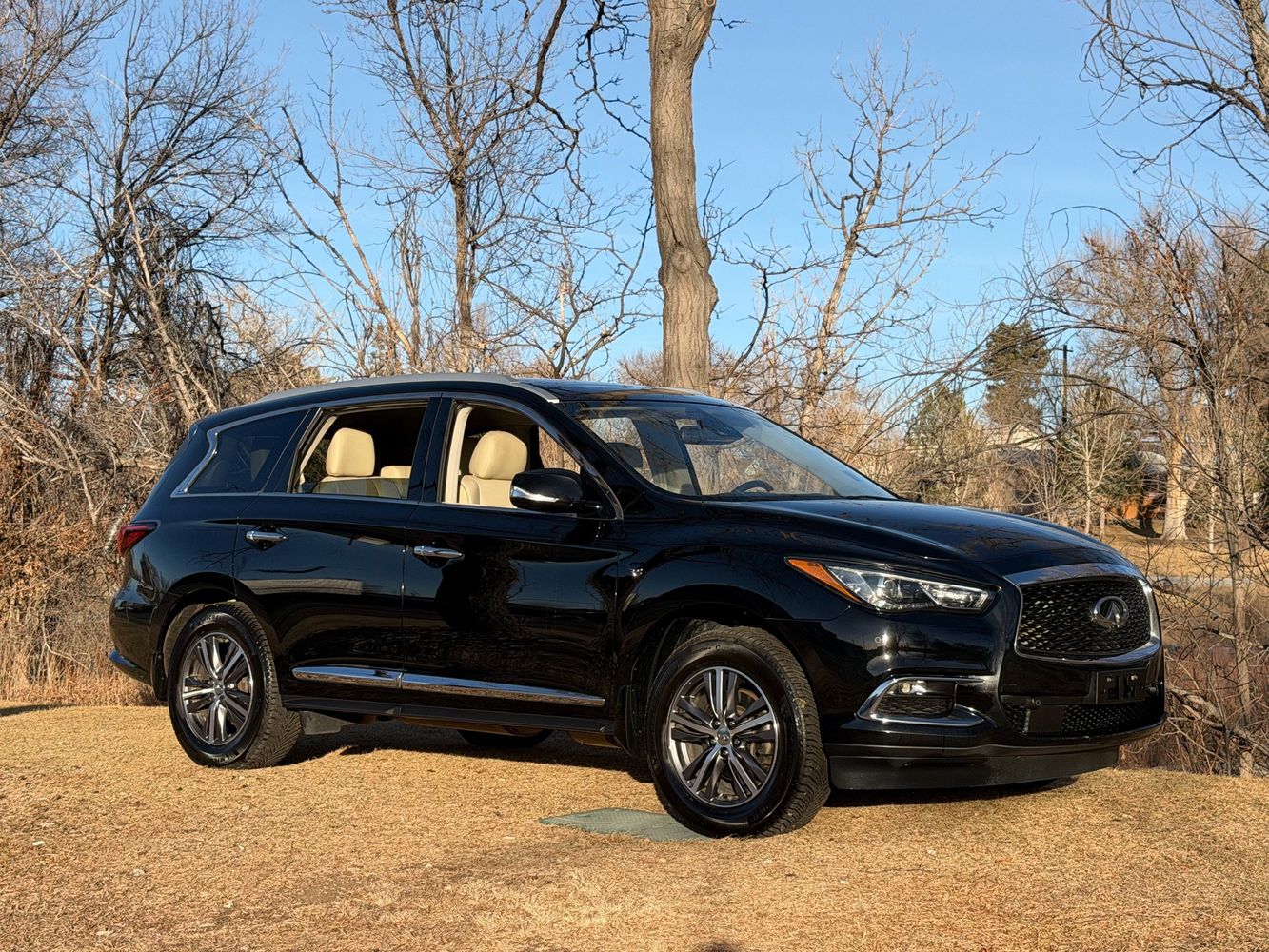 2019 INFINITI QX60 LUXE