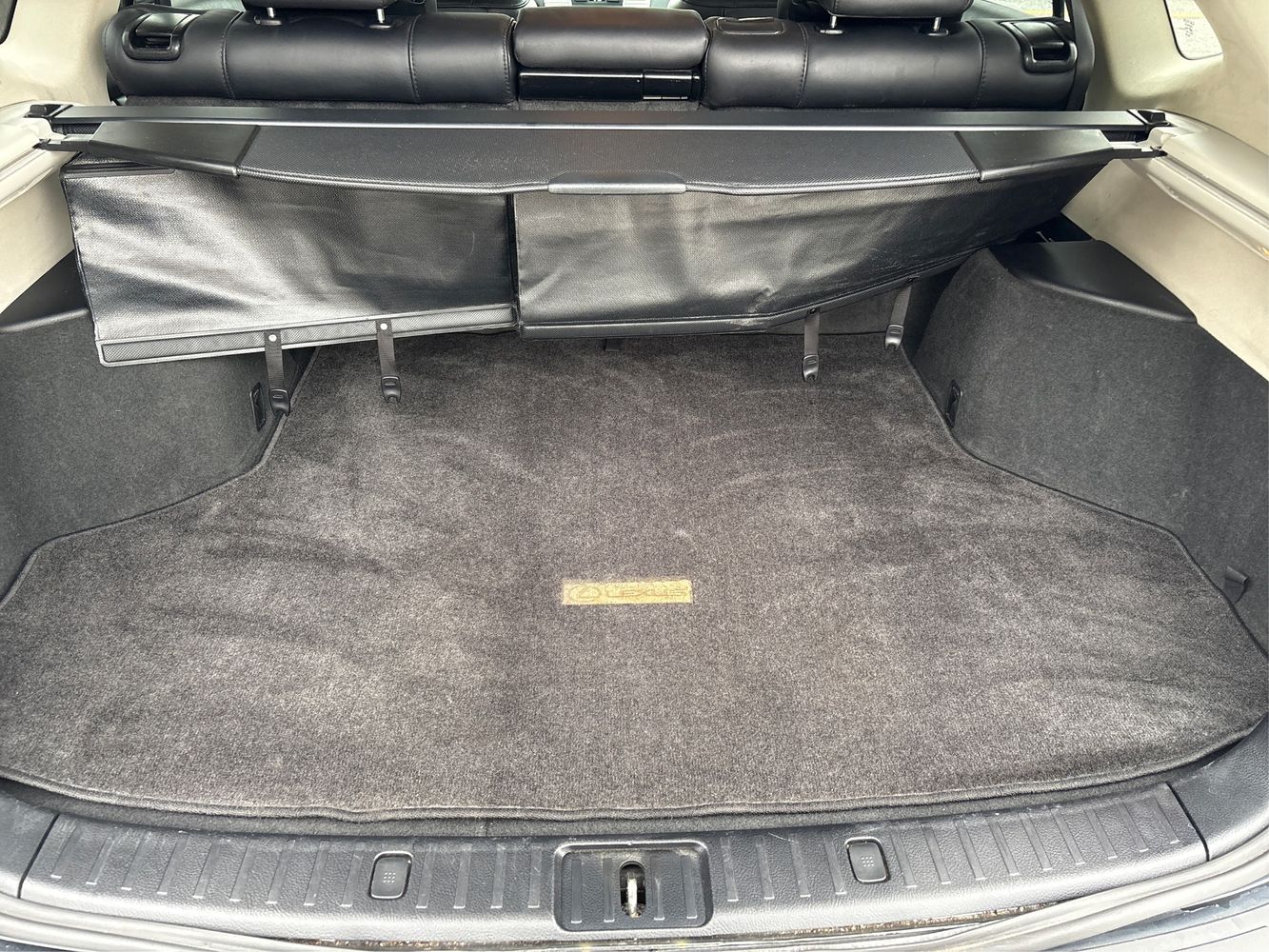 2009 Lexus RX 350 photo 11