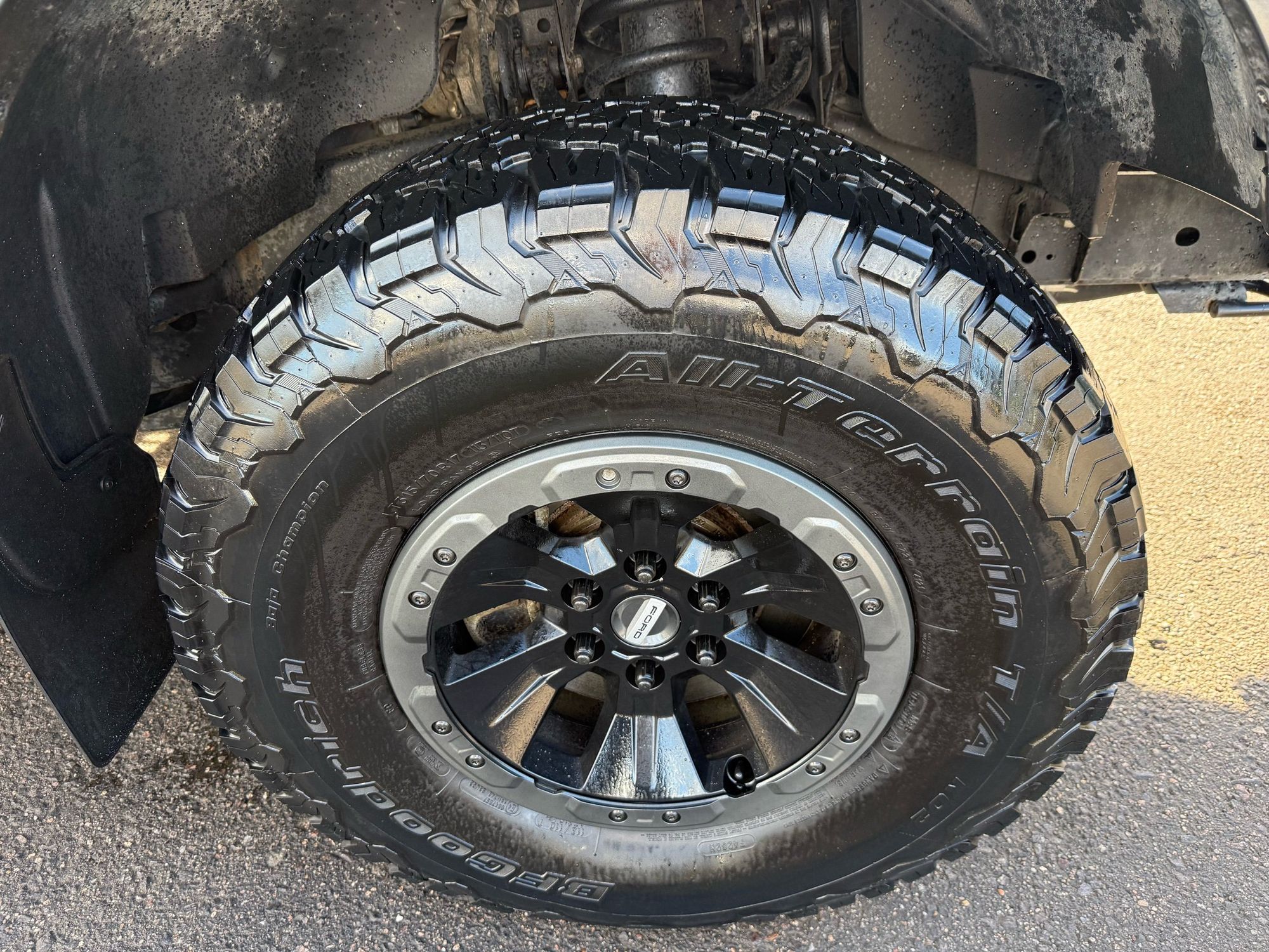 2017 Ford F-150 Raptor photo 11