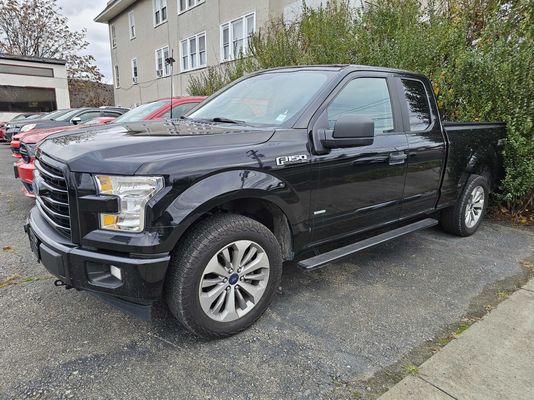 2017 Ford F-150 XL's photo