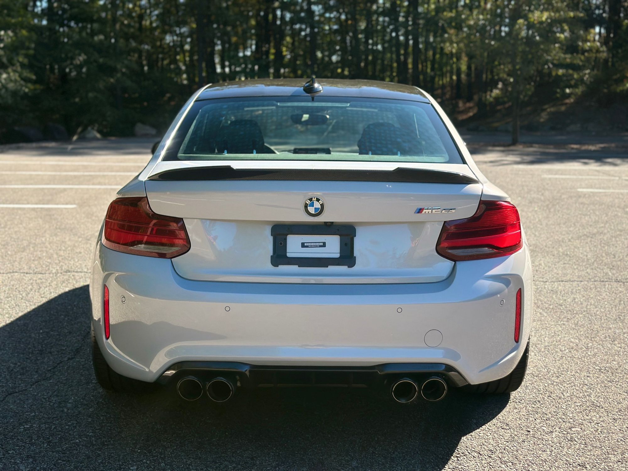 2020 Bmw M2 CS photo 6