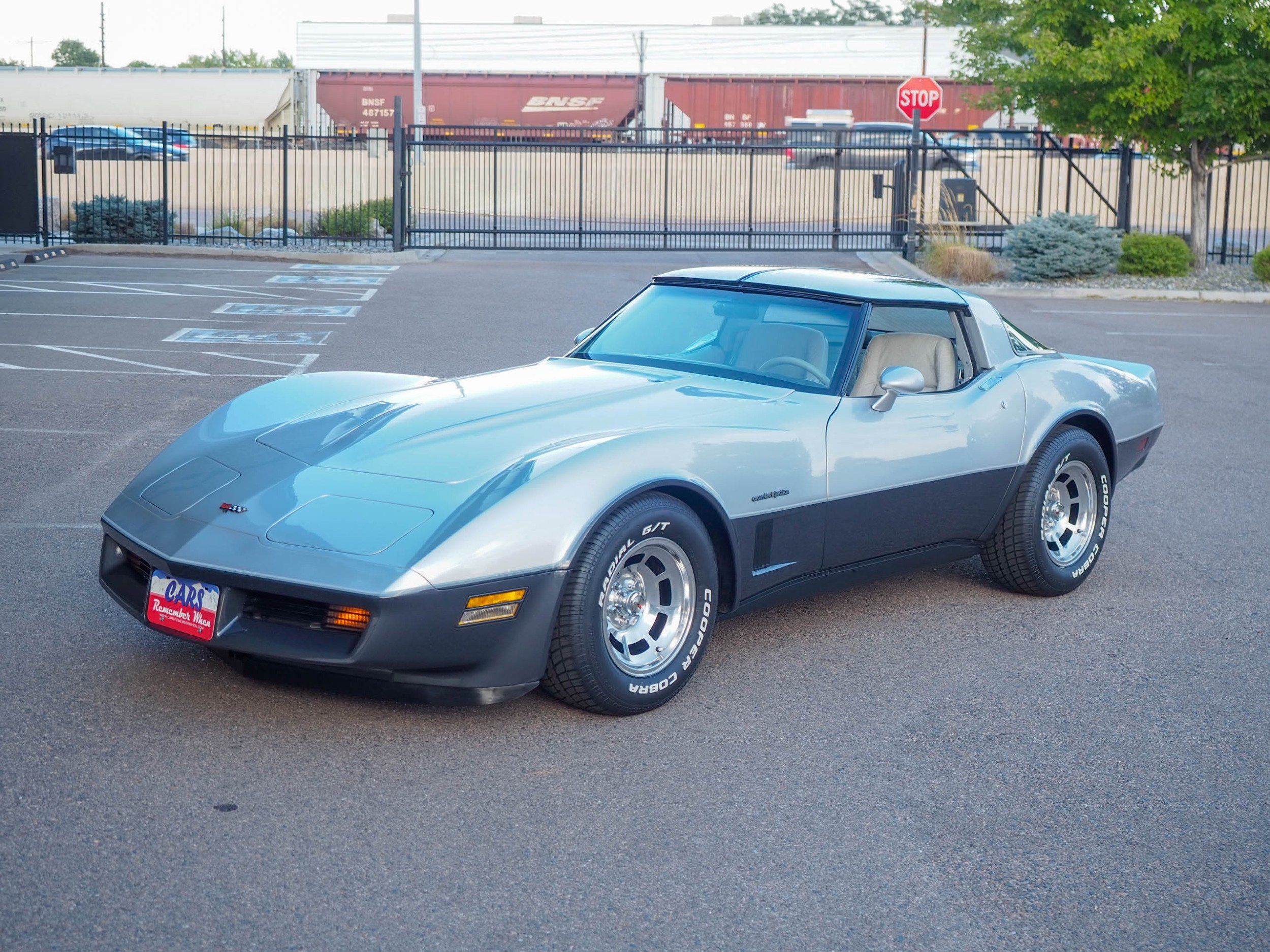 1982 Chevrolet Corvette Silver 