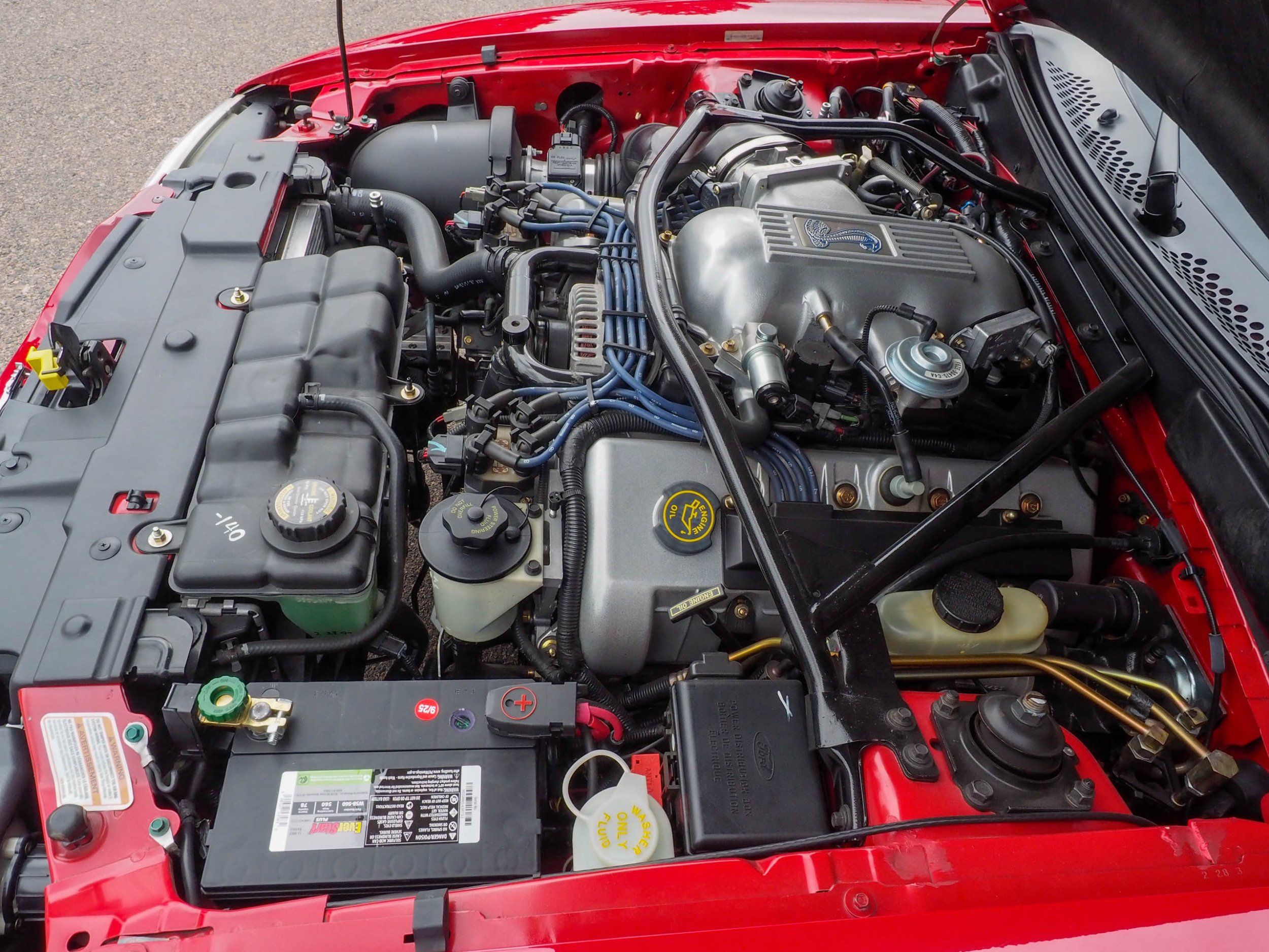 1997 Ford Mustang Red Cobra