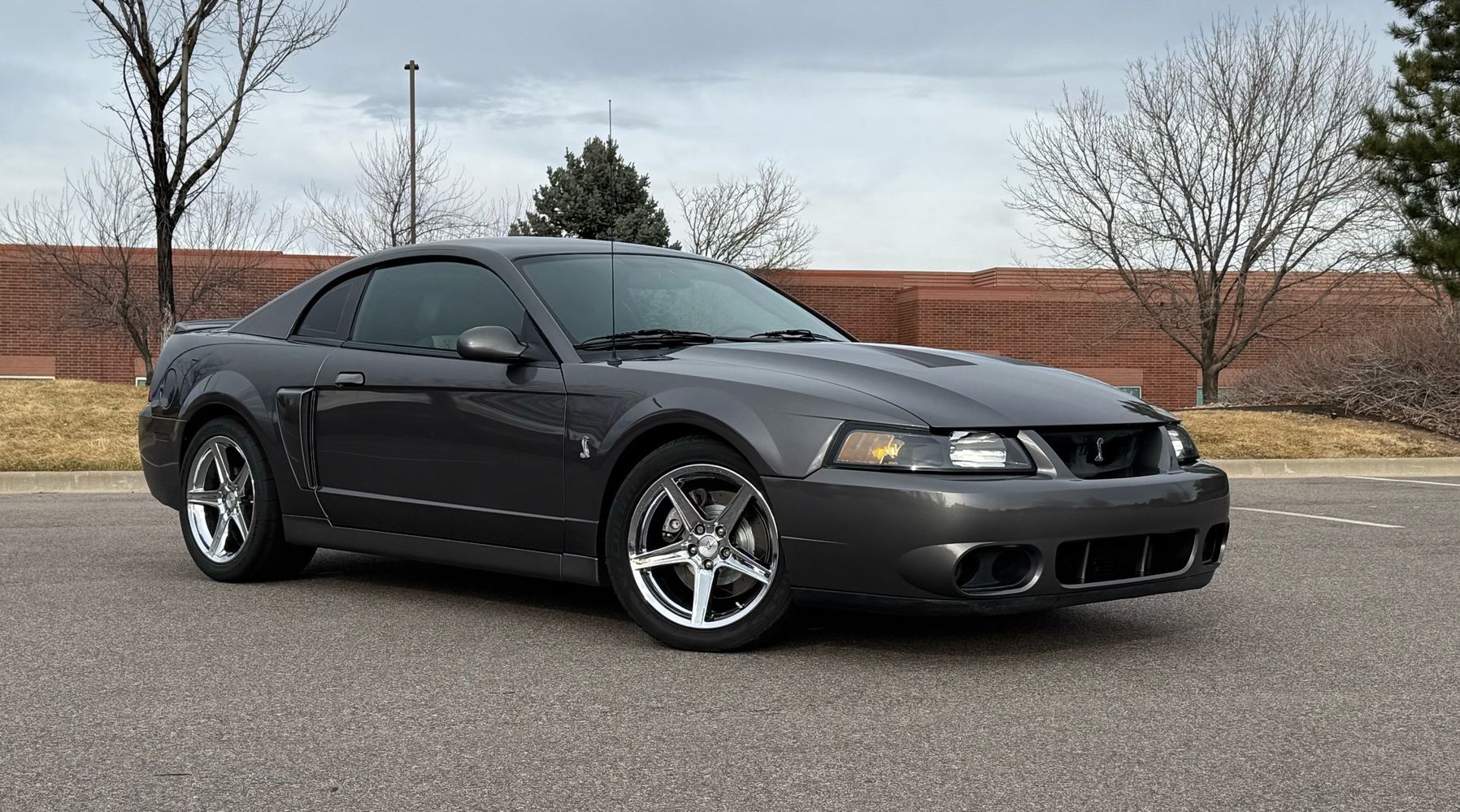 2003 Ford Mustang Cobra's photo