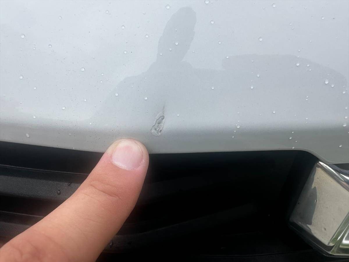 2017 Ford F-250 Super Duty 88