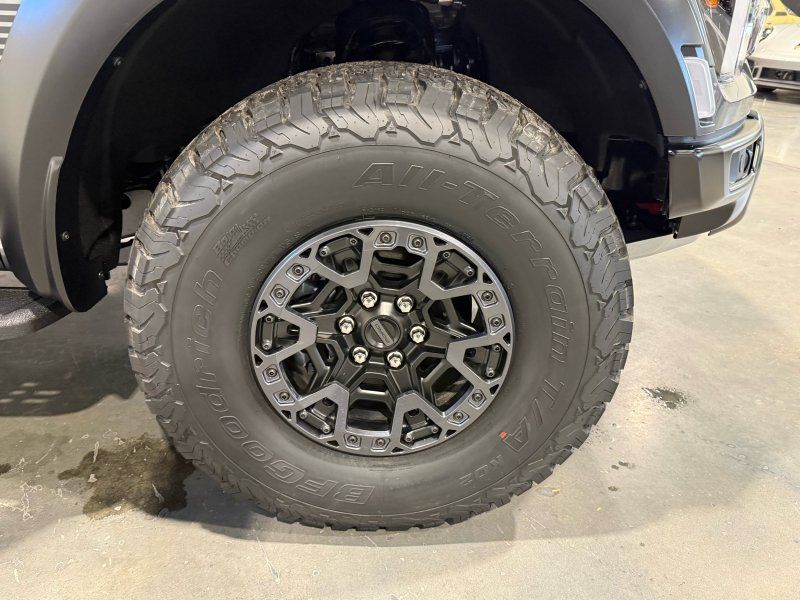 2025 Ford F-150 Raptor R, photo 23