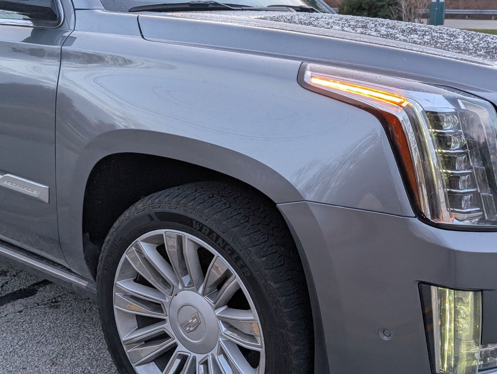 2019 Cadillac Escalade ESV 12