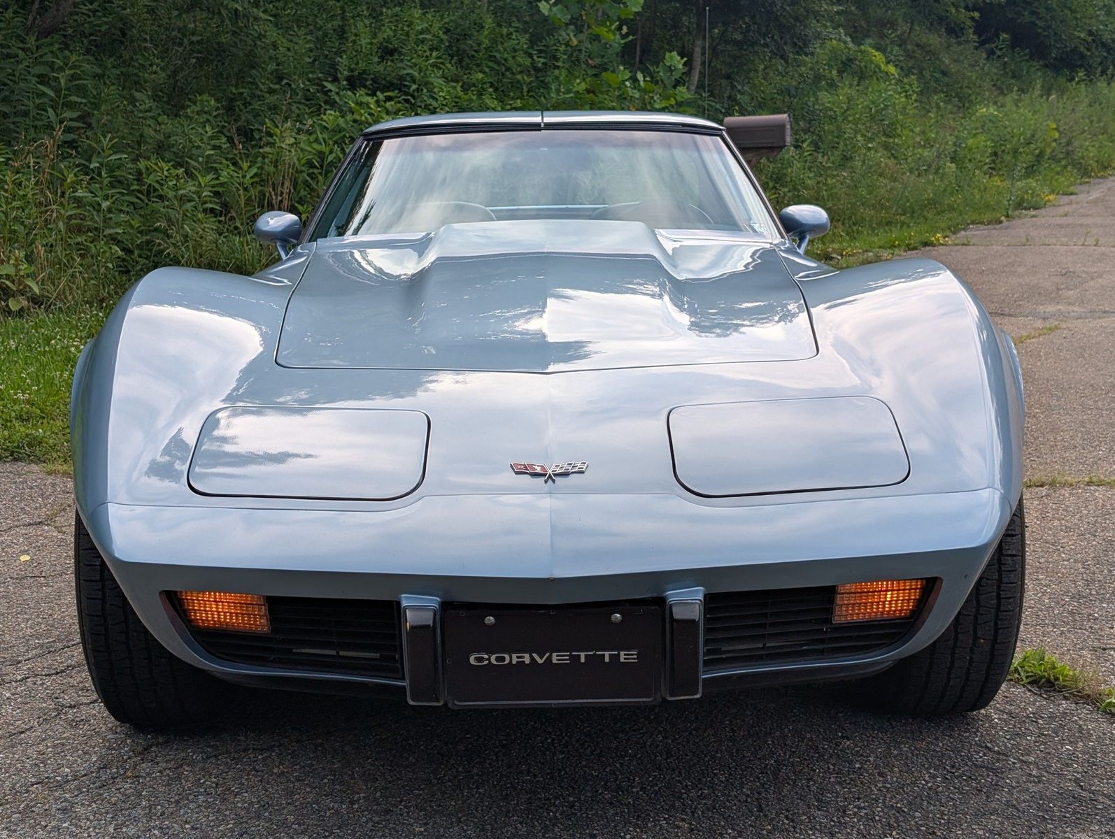 1977 Chevrolet Corvette 119