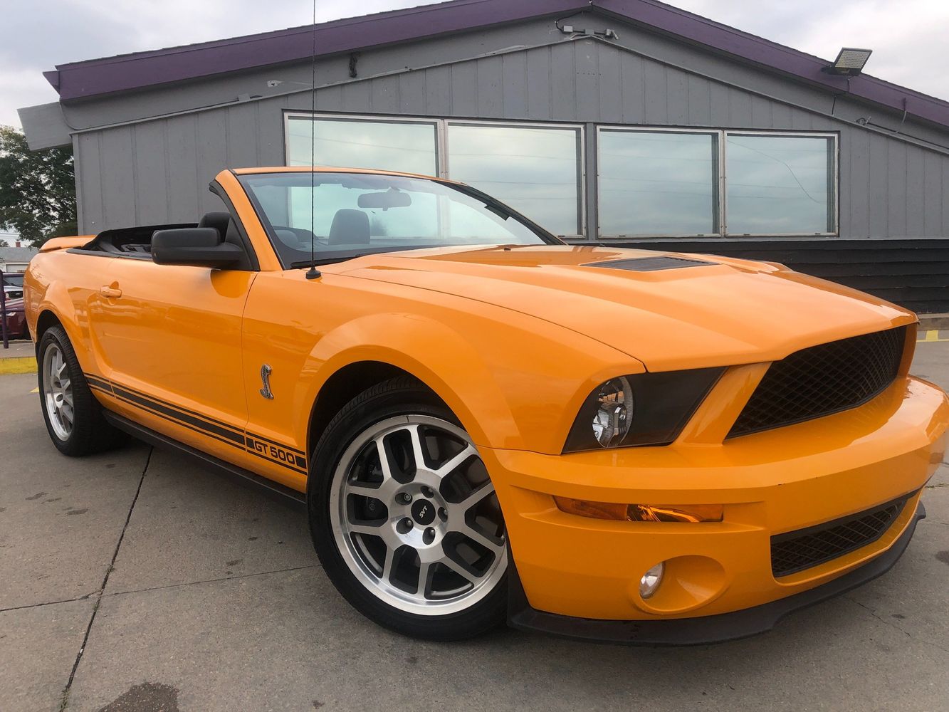 2009 Ford Shelby GT500 | Colorado Motorcars