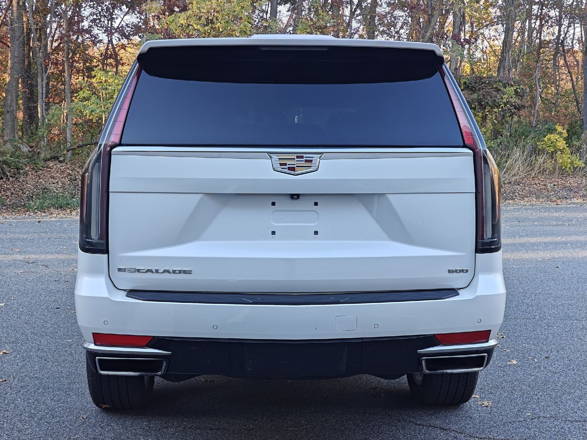 2022 Cadillac Escalade Luxury photo 4