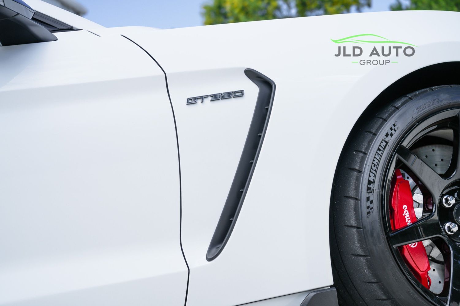 2016 Ford Mustang Shelby GT350R photo 36