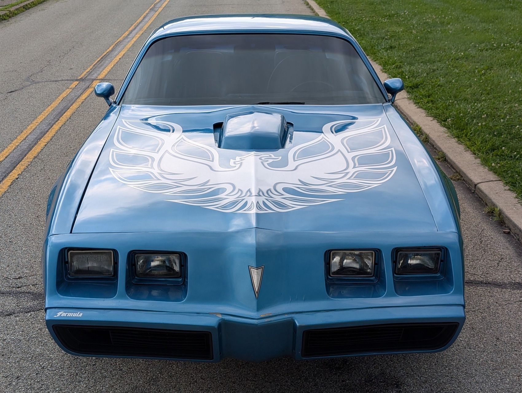 1980 Pontiac Firebird 14