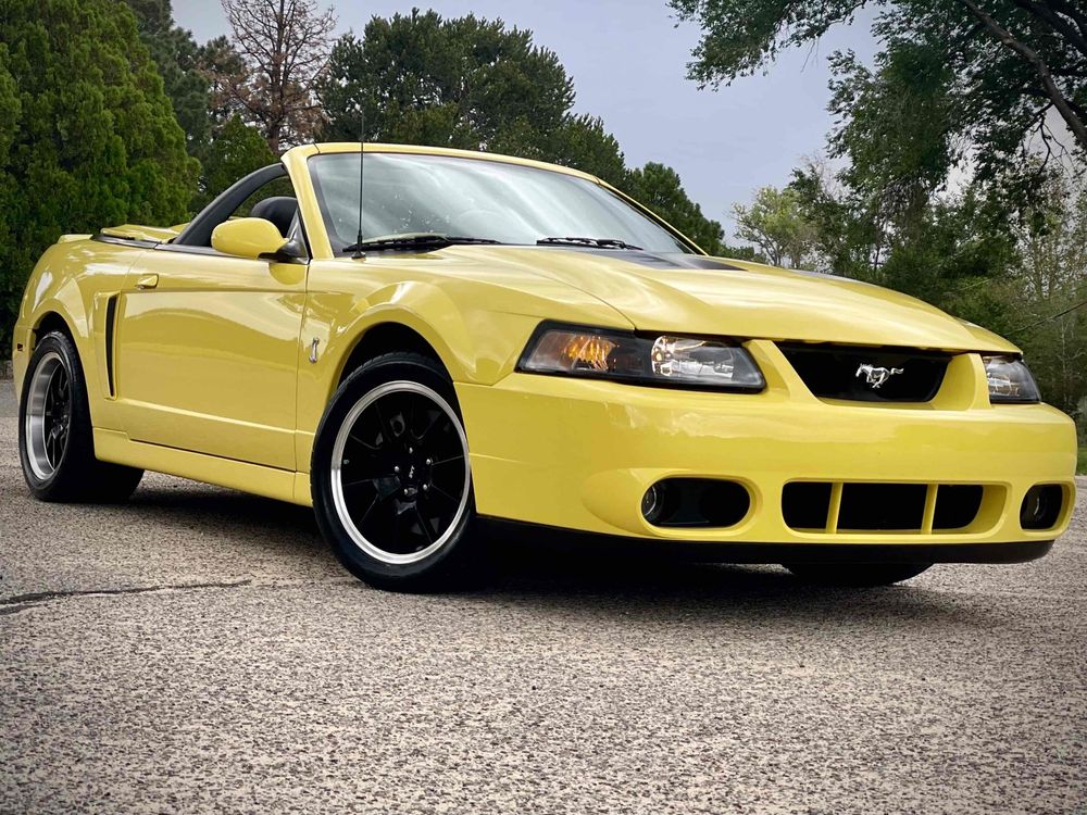 Home Reese�s Car Connection