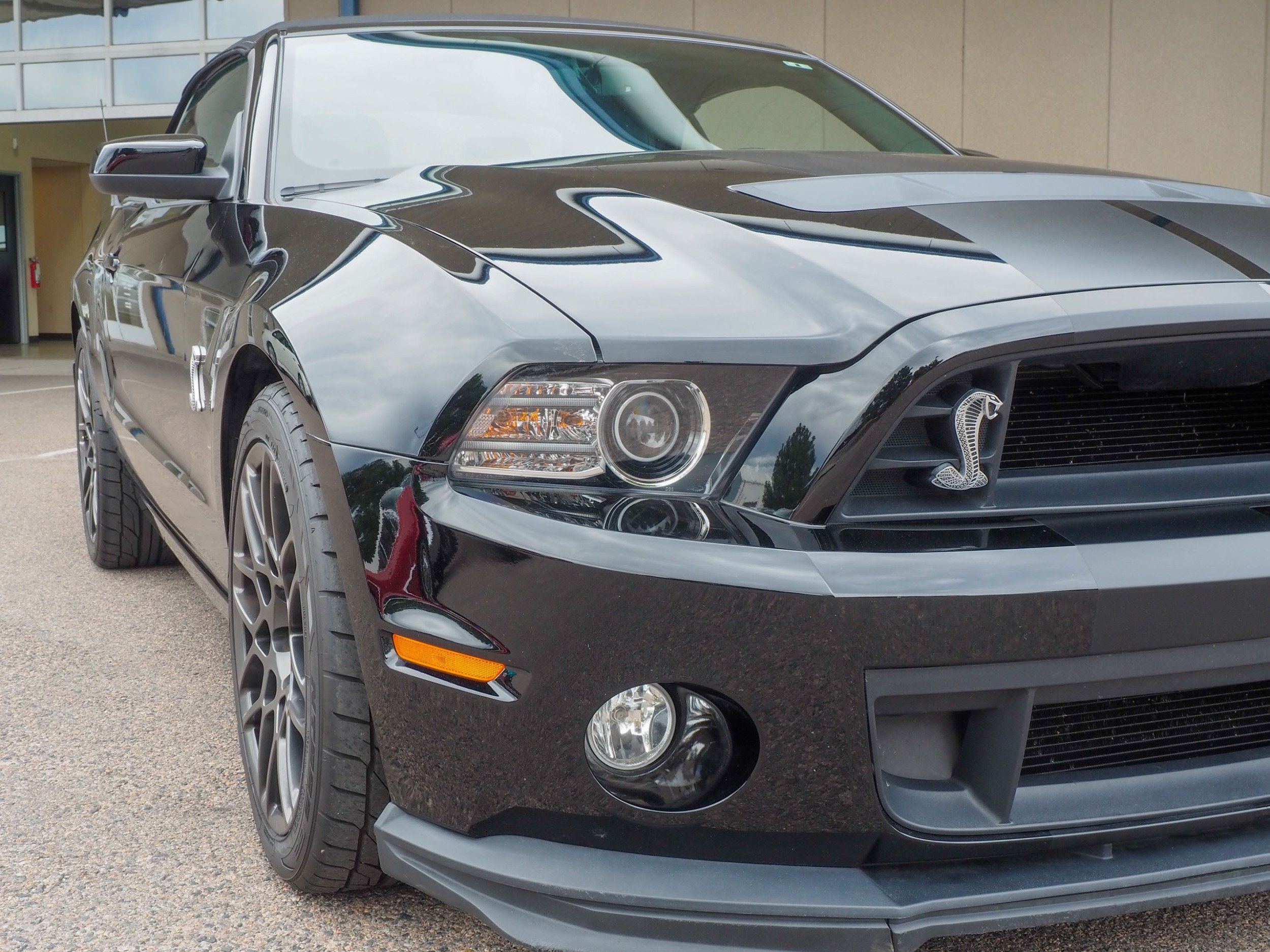 2014 Ford Shelby GT500 Black 