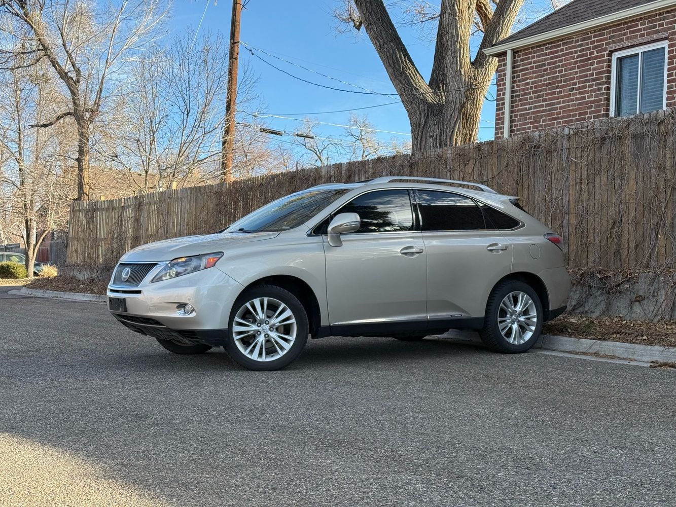 Lexus RX's photo