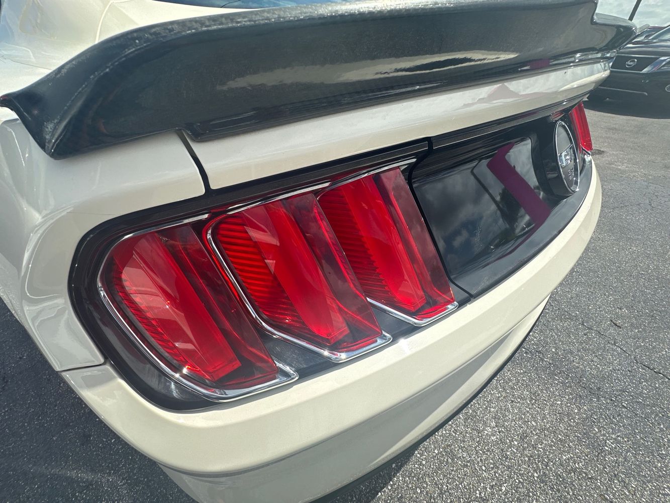2015 Ford Mustang GT 50th Anniversary Edition photo 2