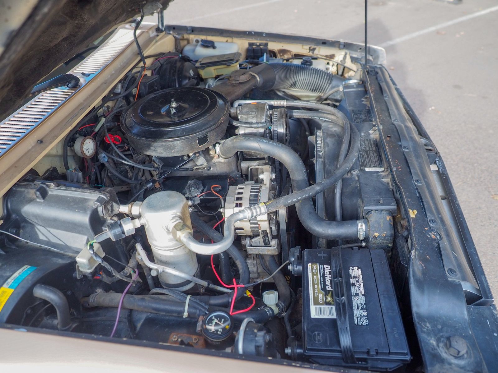 1986 GMC S-15 Jimmy 29