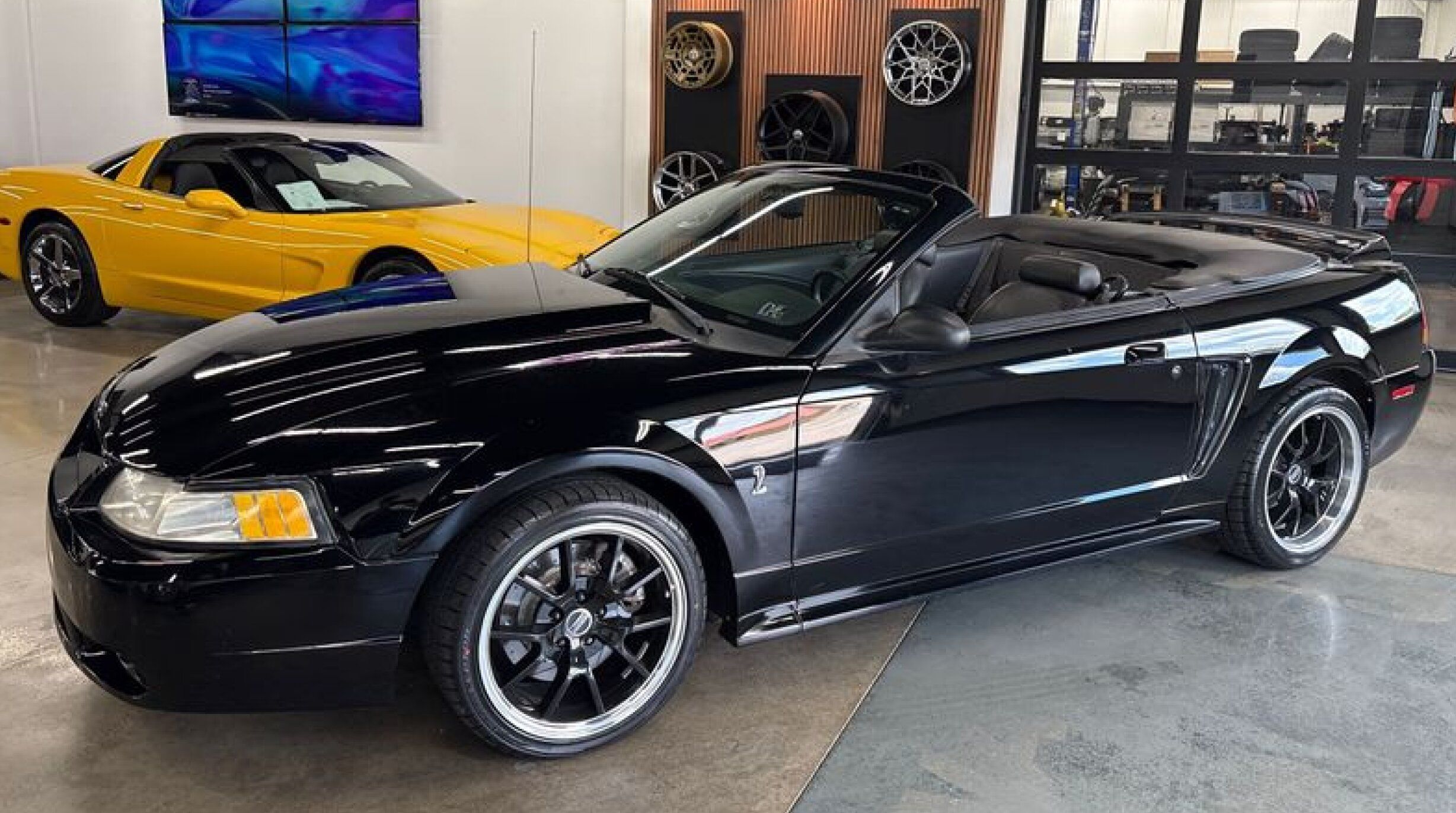 1999 Ford Mustang COBRA SVT's photo