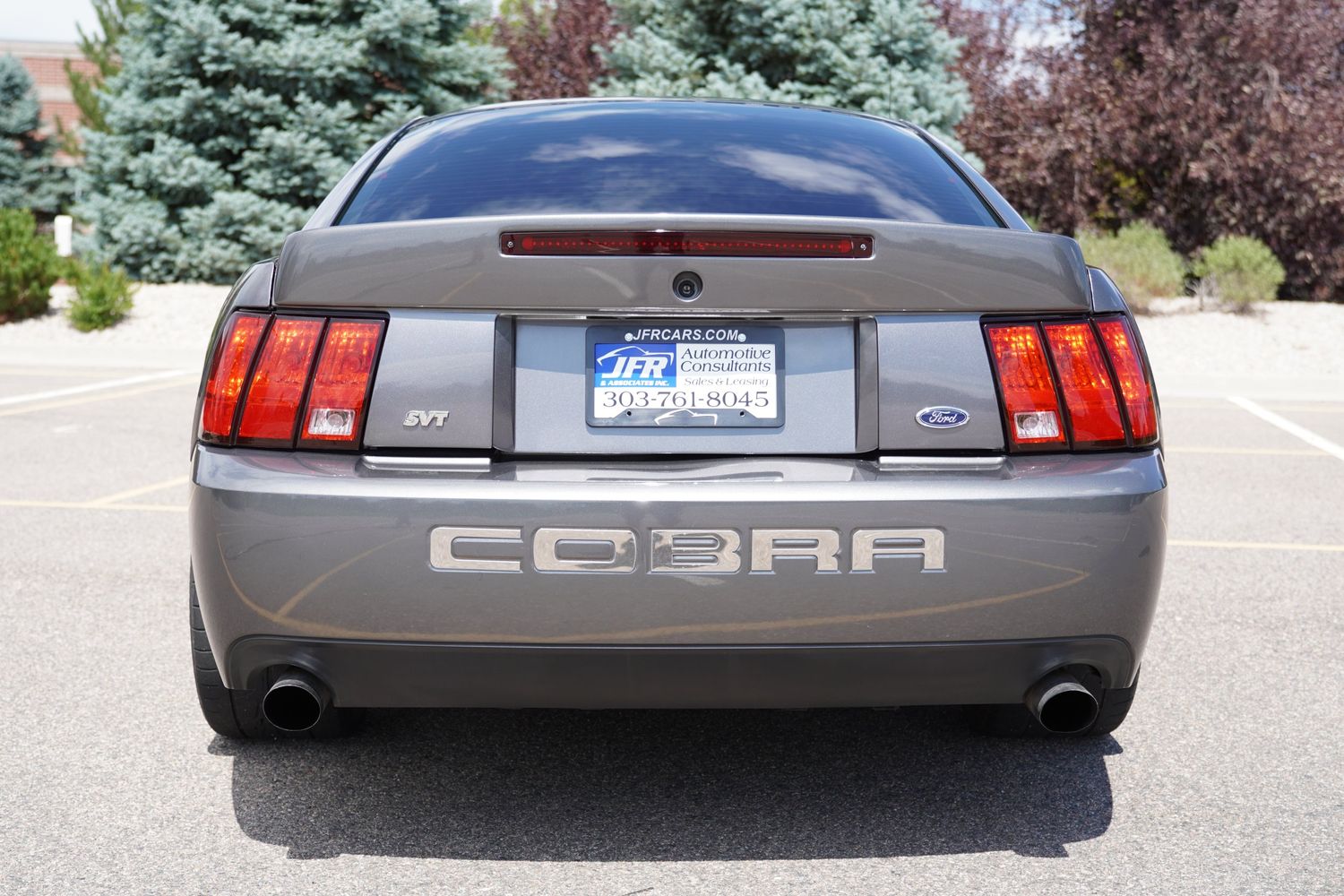 2003 Ford Mustang Cobra photo 3