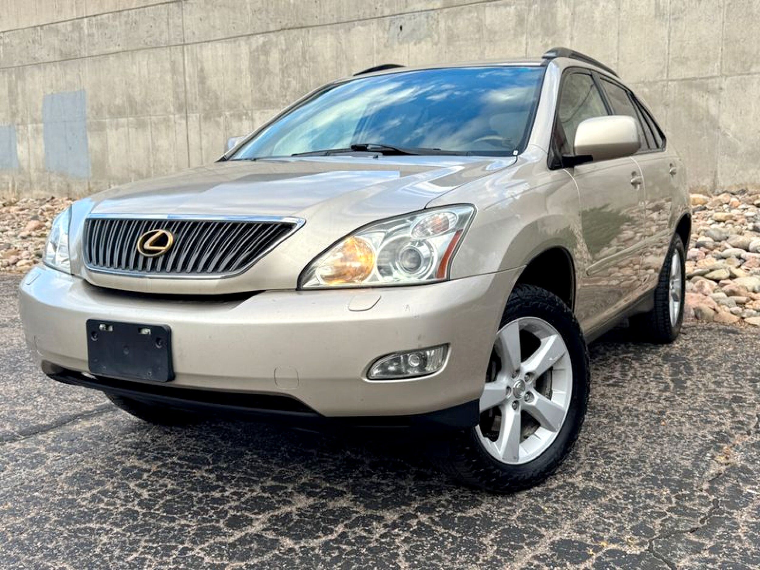 2006 Lexus RX