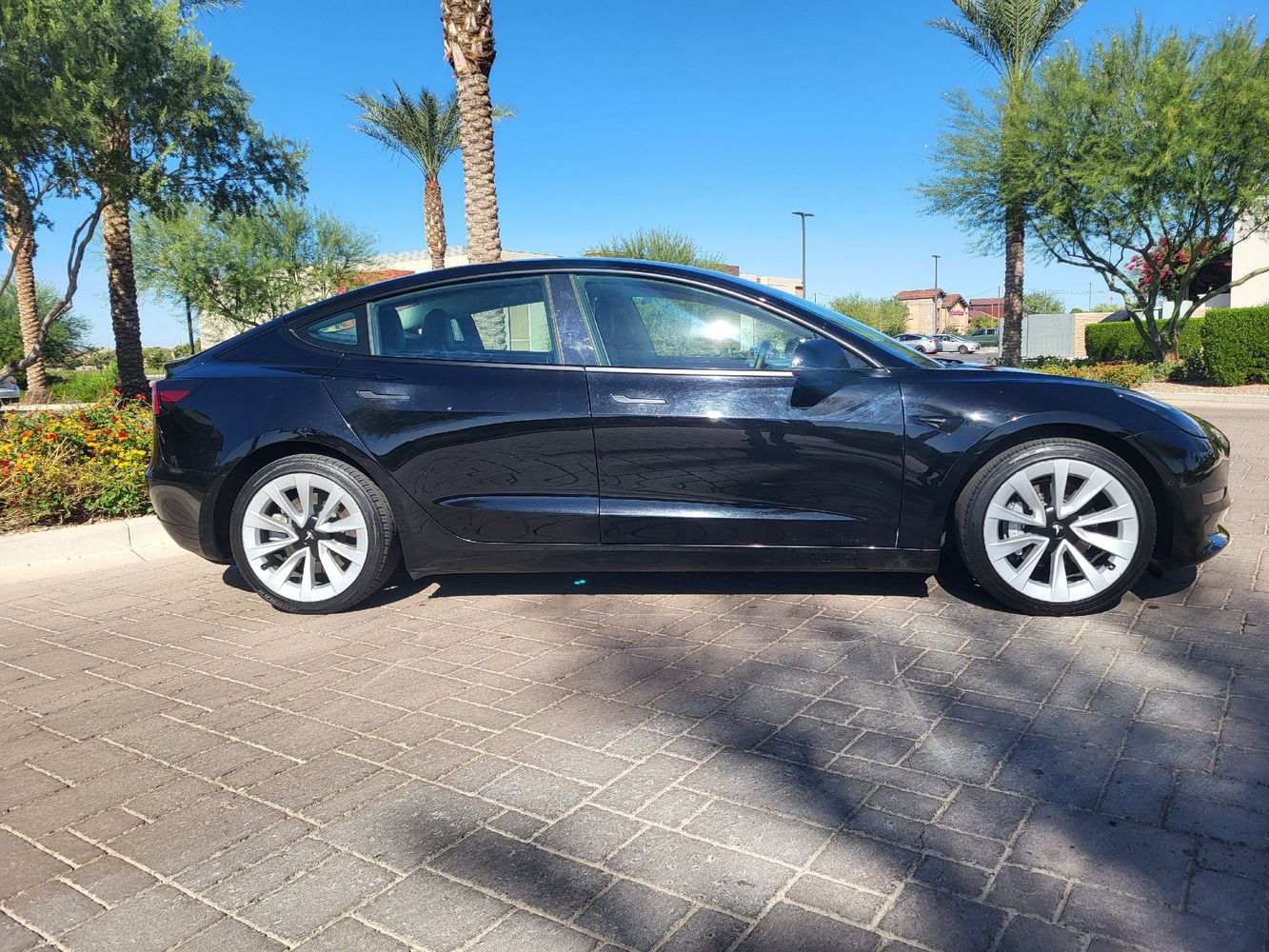 2022 Tesla Model 3 Rear-Wheel Drive photo 2