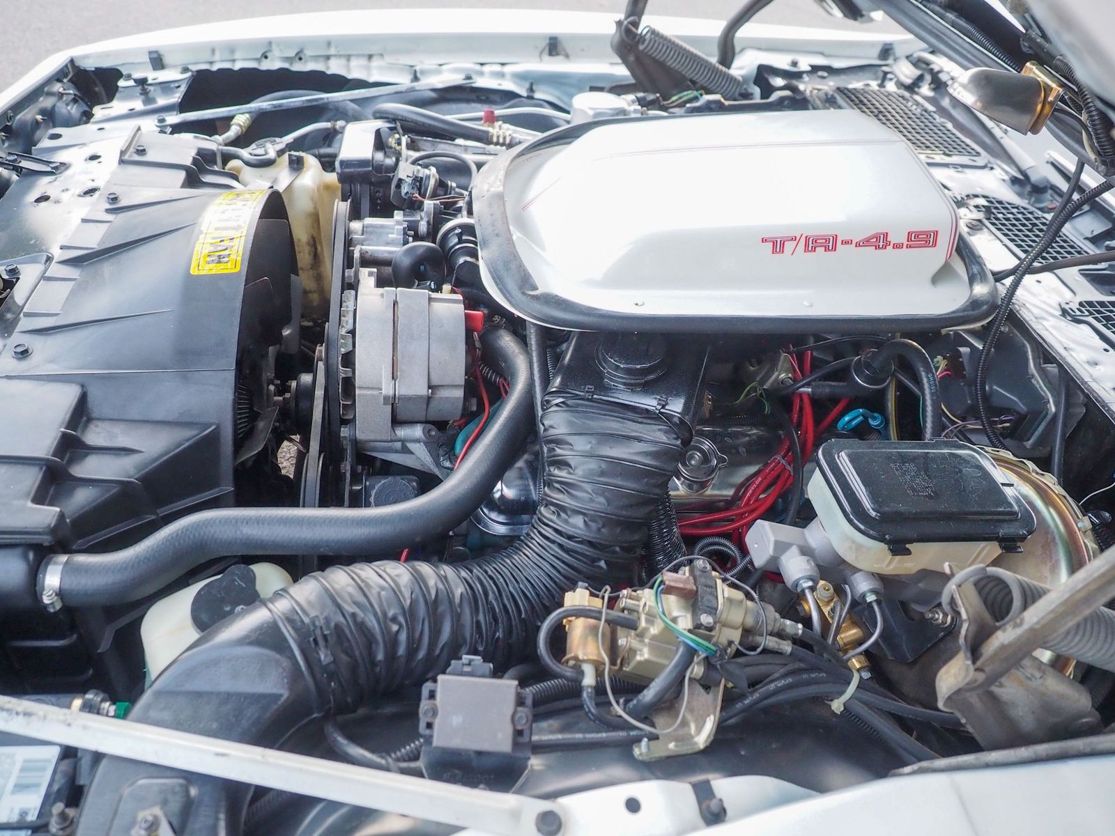 1981 Pontiac Firebird 44
