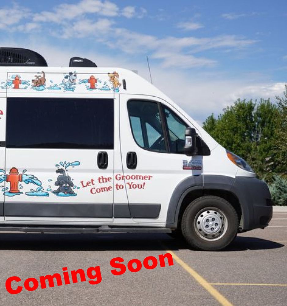 2018 RAM ProMaster Cargo Van