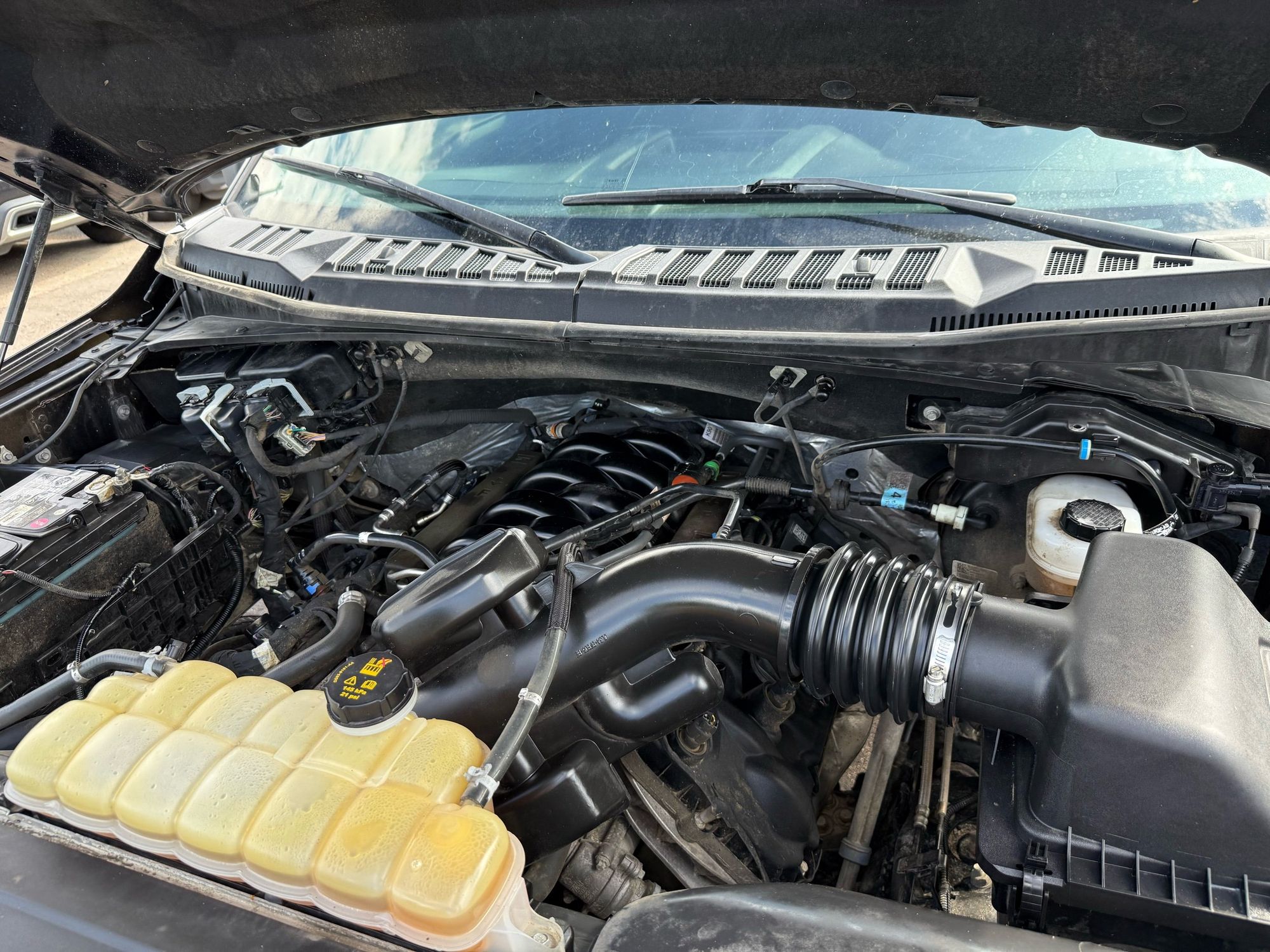 2019 Ford F-150 XLT photo 31