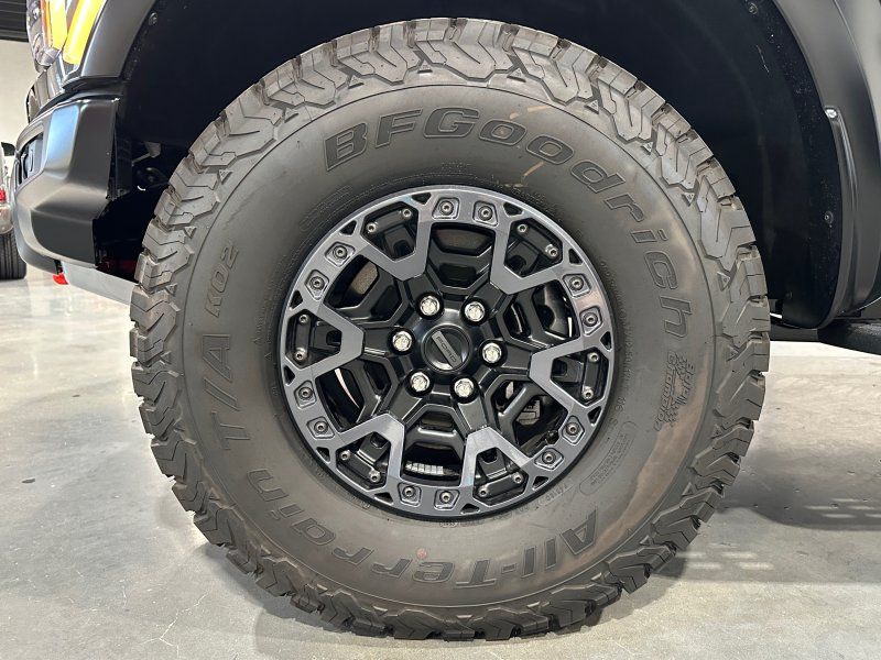 2025 Ford F-150 Raptor, photo 24