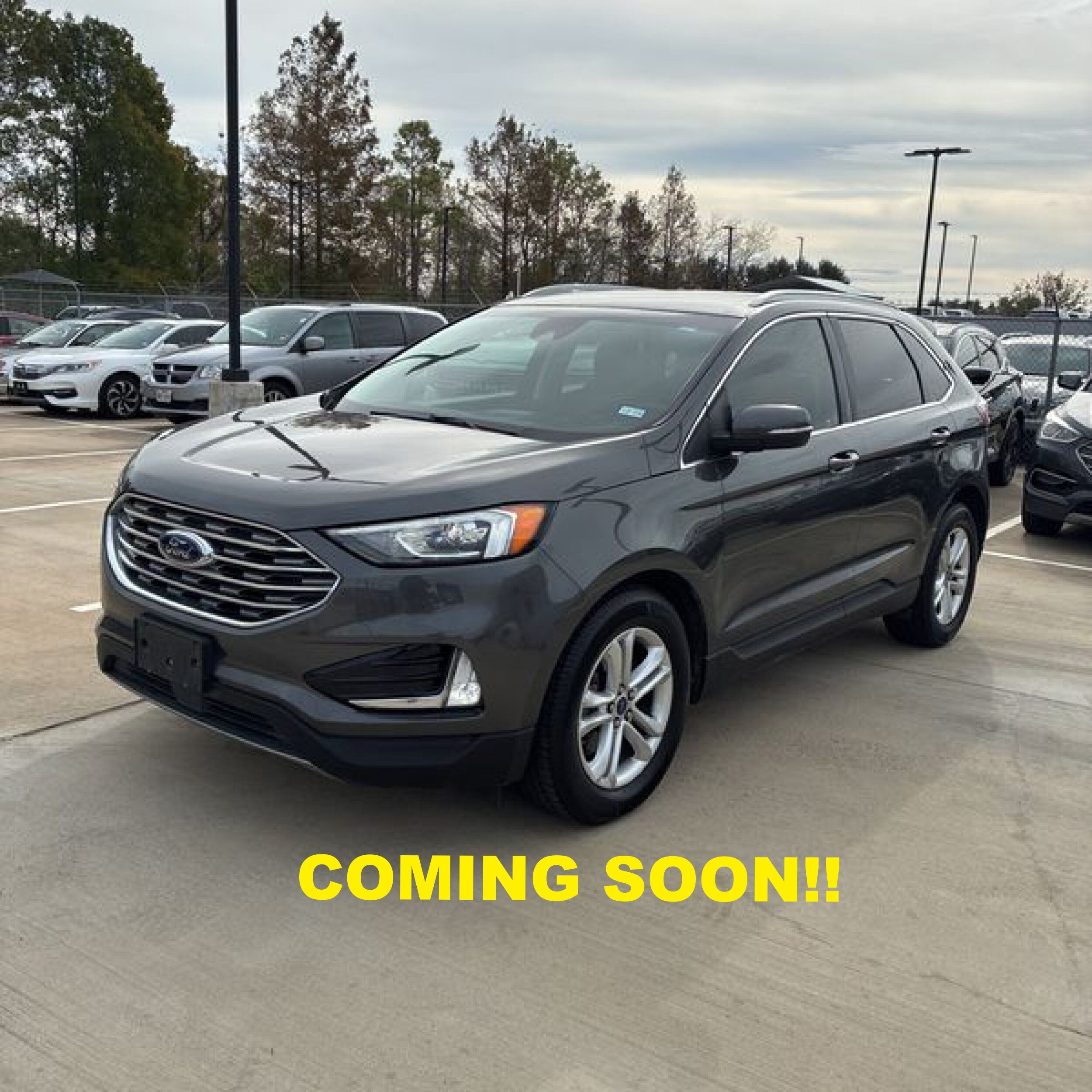 2019 Ford Edge SEL's photo