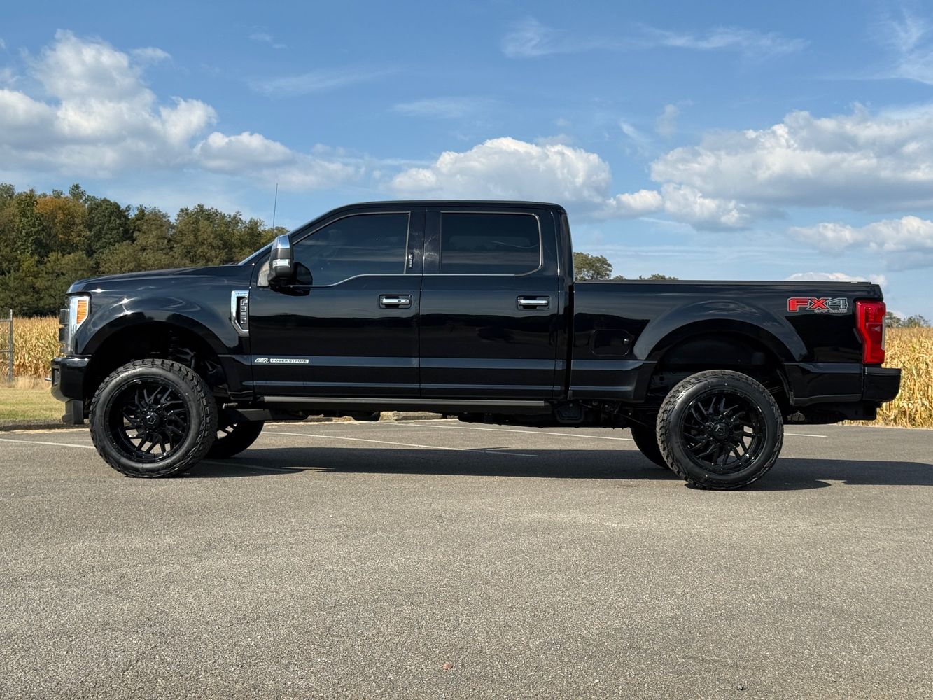 2018 Ford F-350 Platinum photo 8