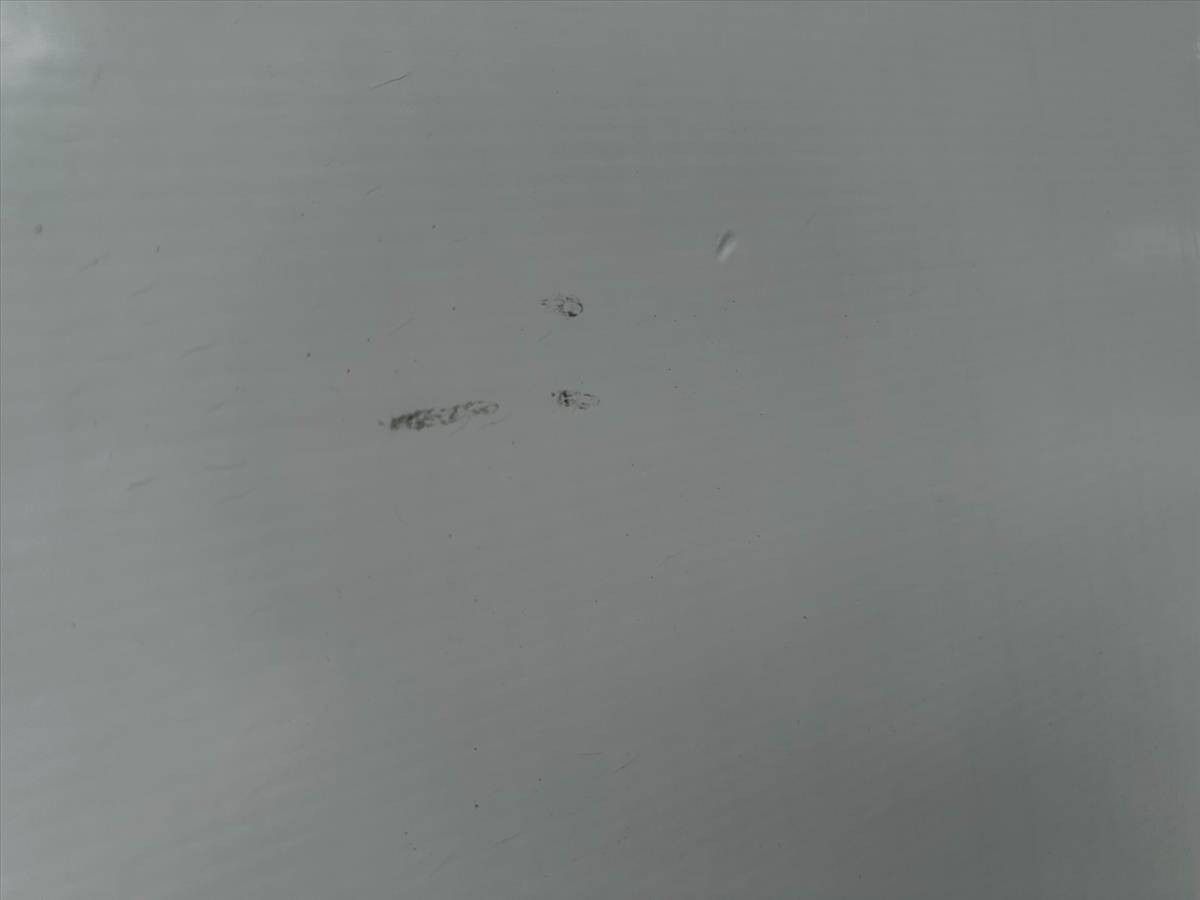 2019 International DuraStar 4300 87