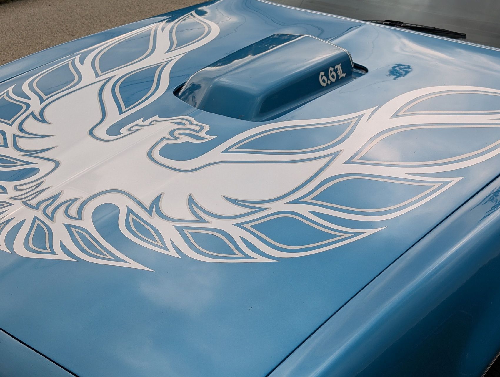 1980 Pontiac Firebird 43
