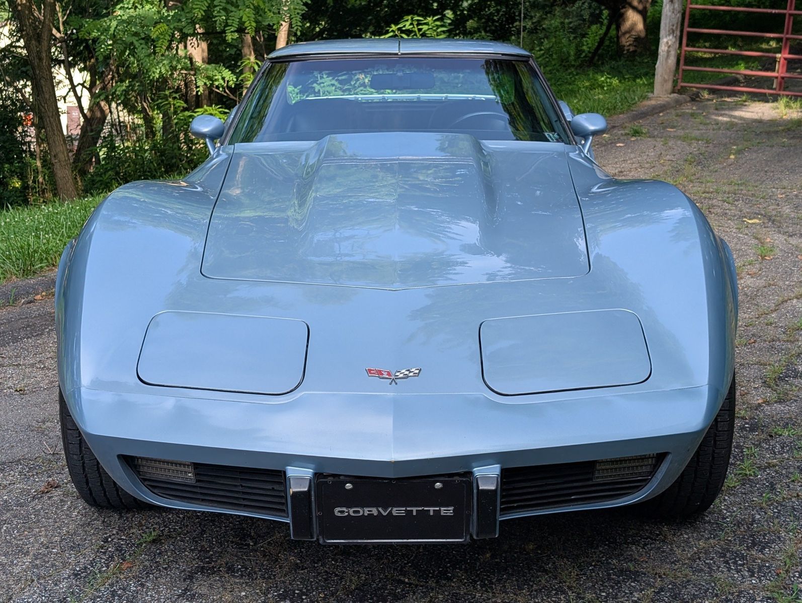 1977 Chevrolet Corvette 63